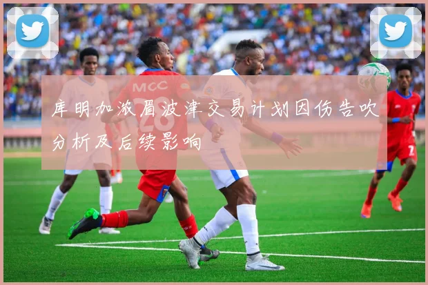 库明加浓眉波津交易计划因伤告吹分析及后续影响