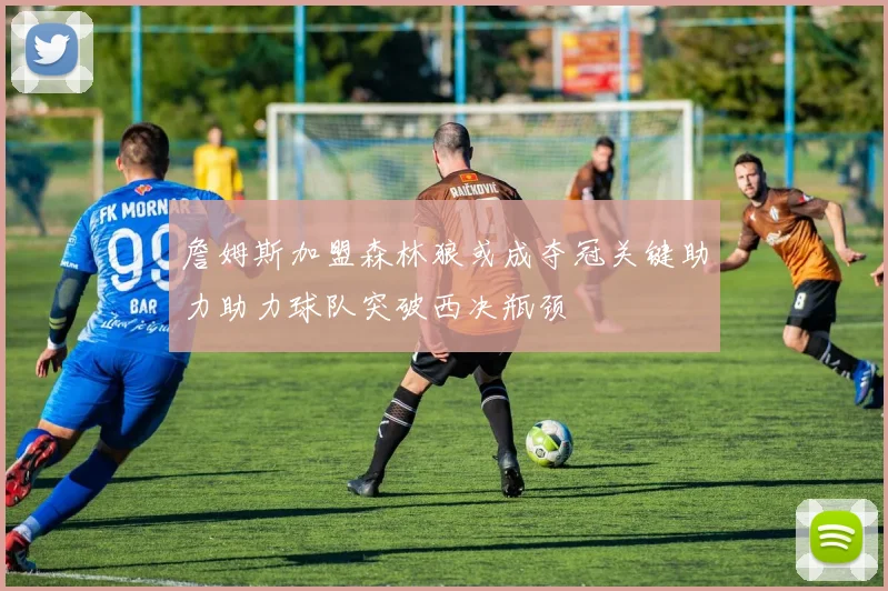 詹姆斯加盟森林狼或成夺冠关键助力助力球队突破西决瓶颈